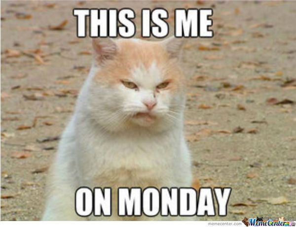 Happy Monday Meme Funny It S Monday Pics And Images