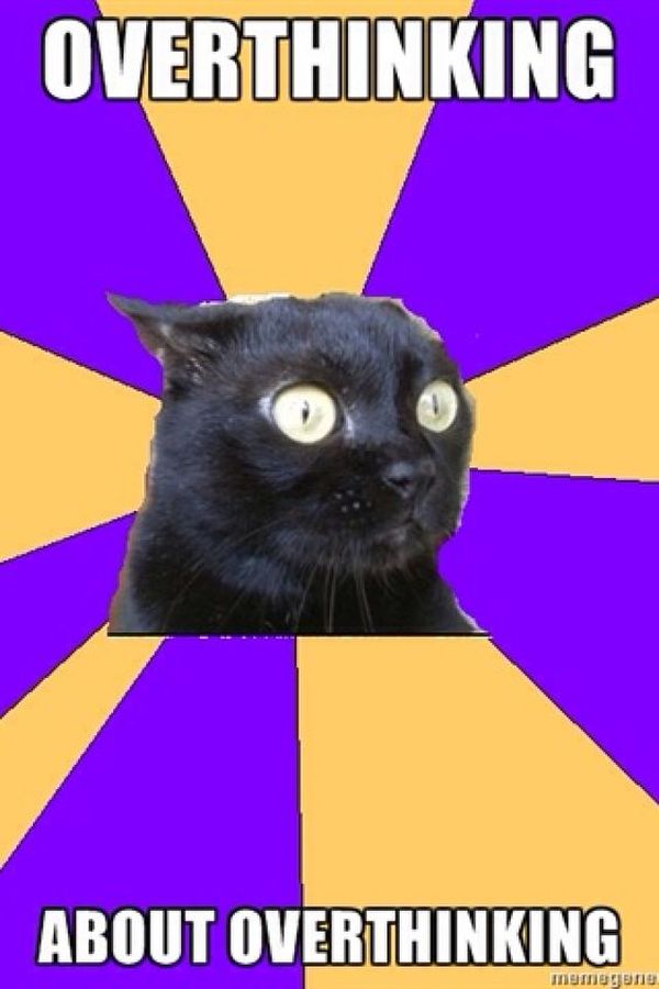 Why Is My Cat Afraid Of Food Why Is My Cat Afraid Of Food