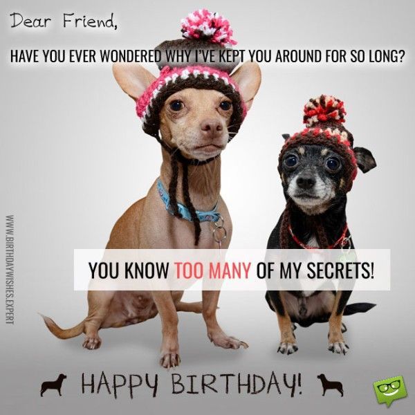 Funny Happy Birthday Wishes For Friends