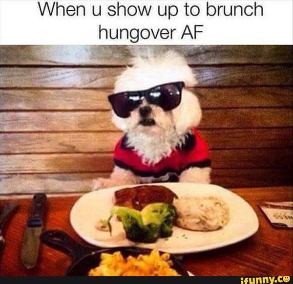 Hangover Memes Funny Hang Over Pics