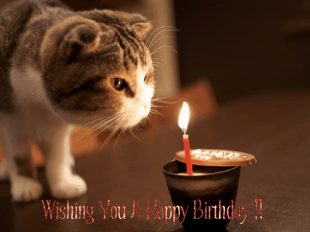 Cute Happy Birthday S And Funny Bday Animated Pictures