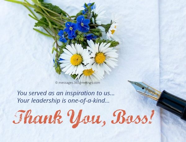 Thank You Notes to Boss - Appreciation Letter and Messages to Boss