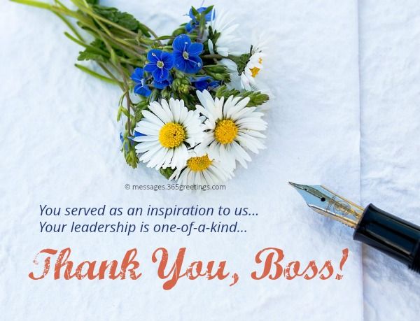 Appreciation letter to boss