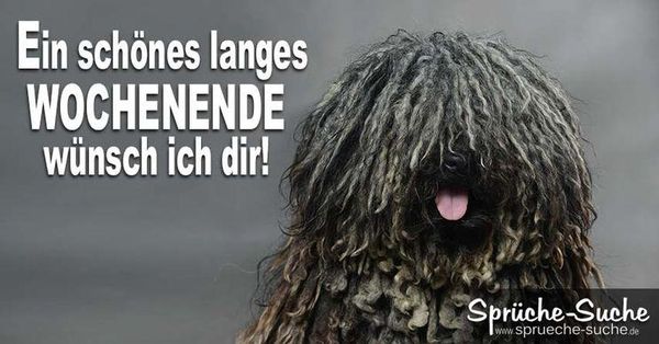 "Coole