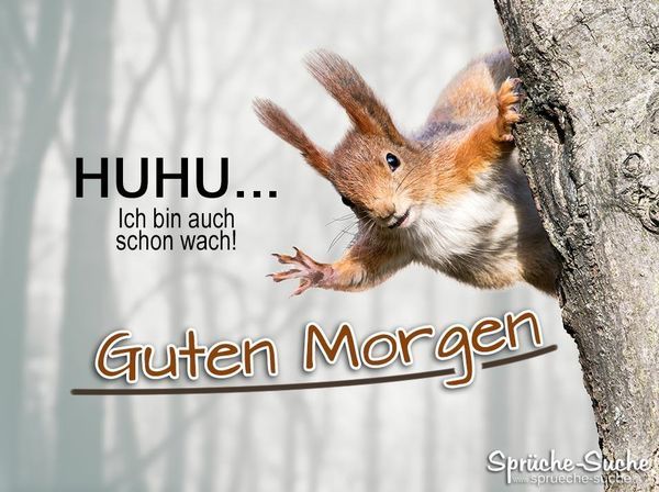 Coole Bilder „Guten Morgen“ fur WhatsApp Profil 32