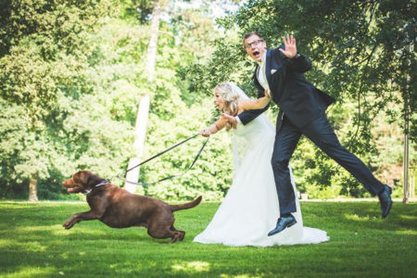 Die besten lustigen Bilder mit Tieren und Menschen 3