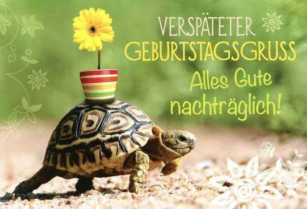 Lustige Pictures zum Geburtstag nachtraglich 3