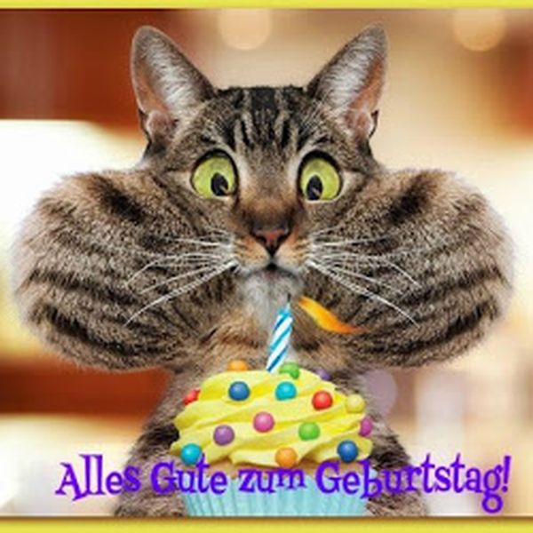 Lustige Tierbilder zum Geburtstag 1
