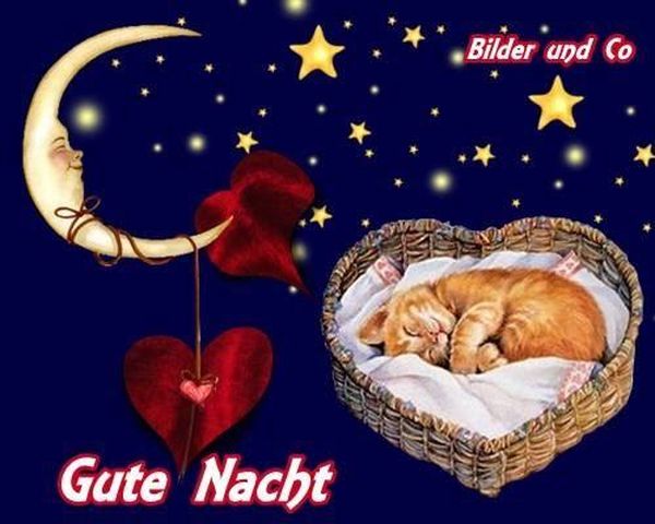 WhatsApp Bilder „Gute Nacht“ zum Posten 32