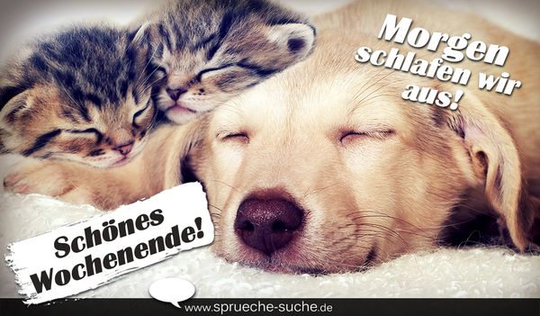 Bilder mit Spruchen fur ein schones Wochenende 4