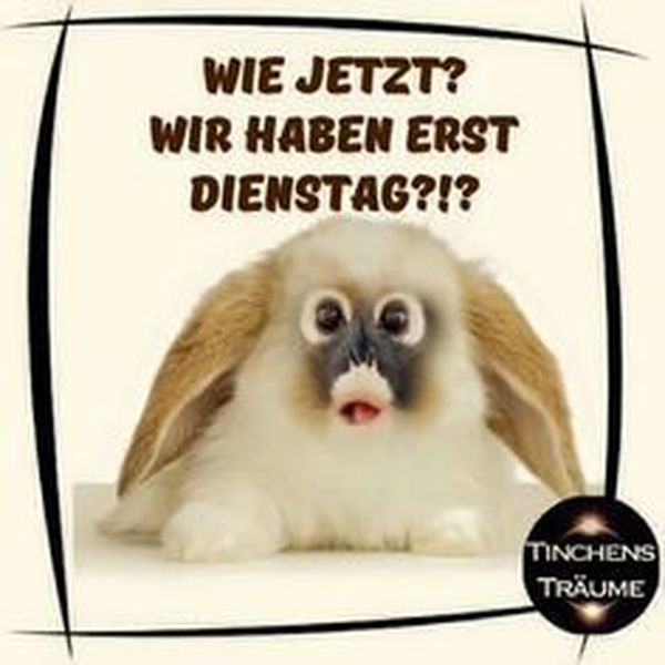 Dienstag Bilder lustig