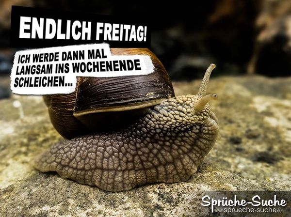 Bilder-fur-Facebook-mit-Freitagsspruchen-3