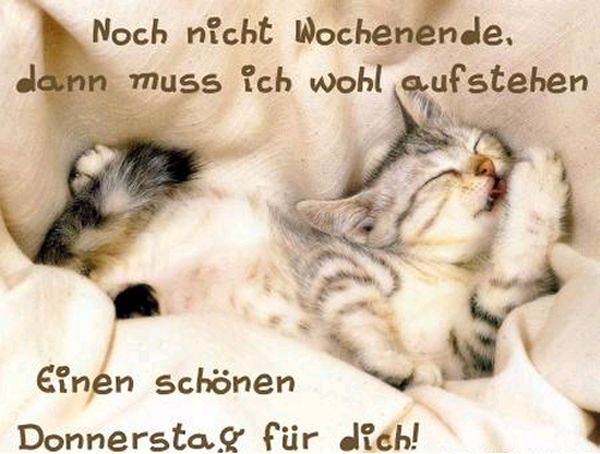 Bilder-mit-Spruchen-zum-Donnerstag-1