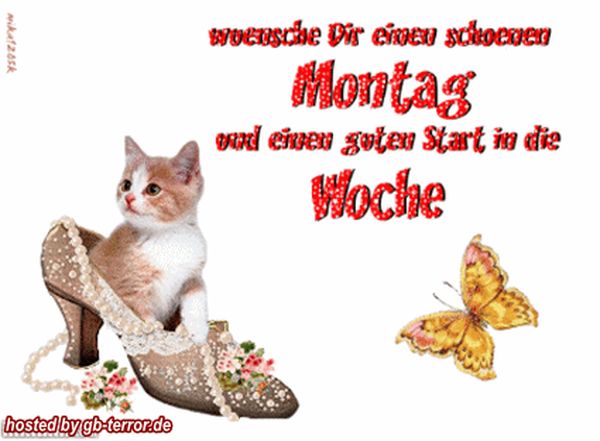Schonen Montag Bilder Kostenlos Memesbams Com