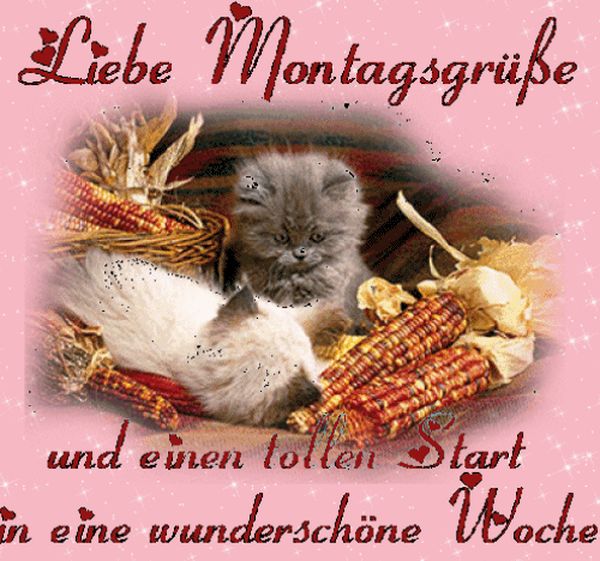 Bilder-mit-den-Montagsgru-en-3