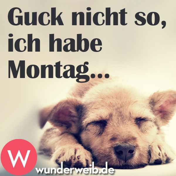 Bilder-uber-den-bloden-Montag-2