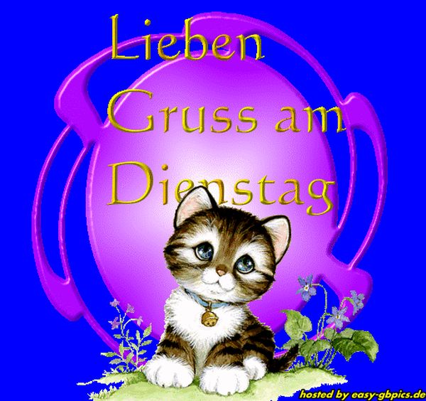 Bilder-zum-Dienstag-fur-WhatsApp1