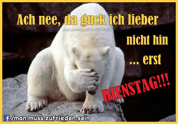 Bilder-“Erst-Dienstag”-3