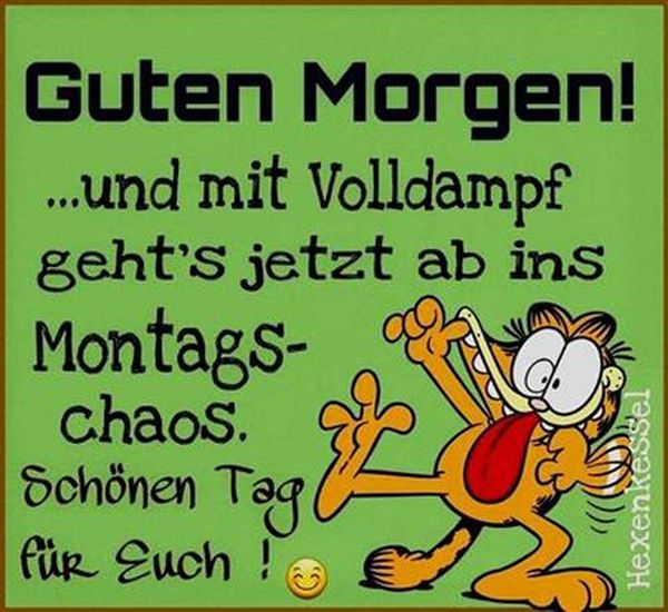 Bilder-„Guten-Morgen-Montag“-3