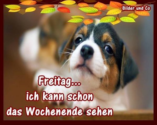 Bilder-„Heute-ist-Freitag-morgen-ist-Wochenende“-1