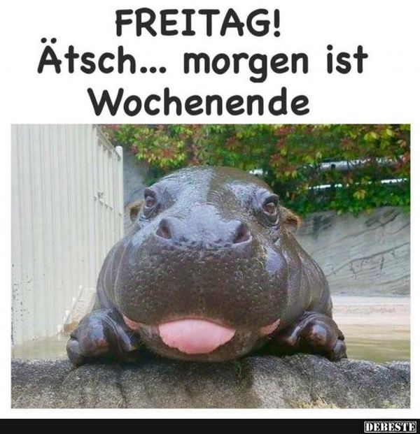 Bilder-„Heute-ist-Freitag-morgen-ist-Wochenende“-3