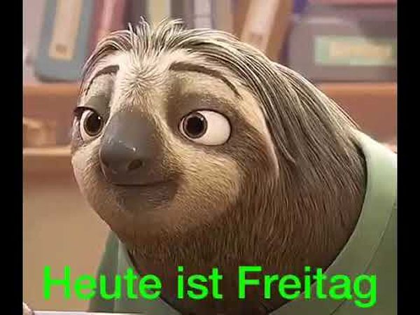 Bilder-„Heute-ist-Freitag“-1
