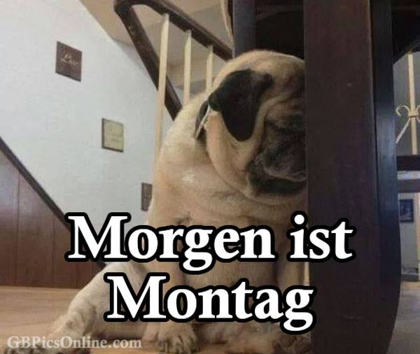 Bilder-„Morgen-ist-Montag“-2