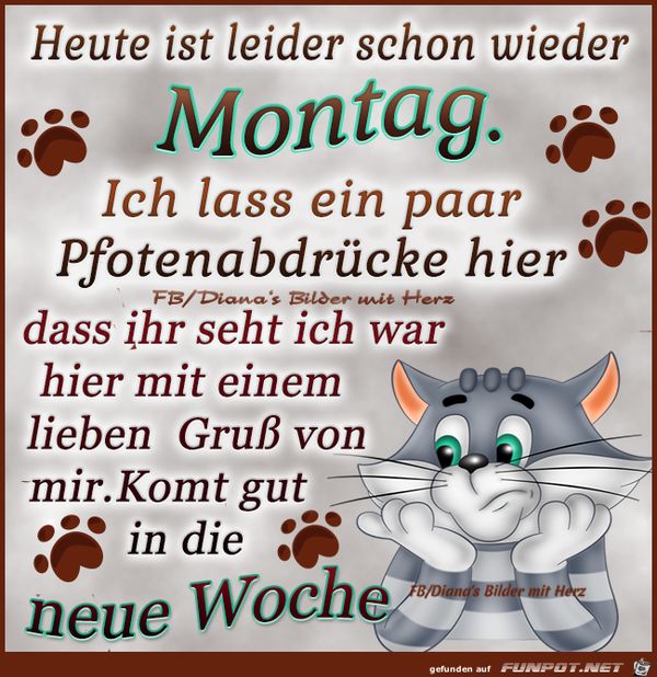 Bilder-„Schon-wieder-Montag“-1