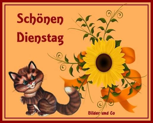 Bilder-„Schonen-Dienstag“-1