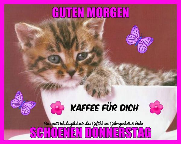 Bilder-„Schonen-Donnerstag“-1
