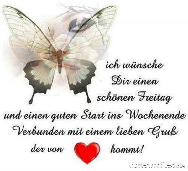 Bilder-„Schonen-Freitag“-2