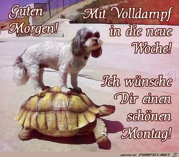 Bilder-„Schonen-Montag“-1