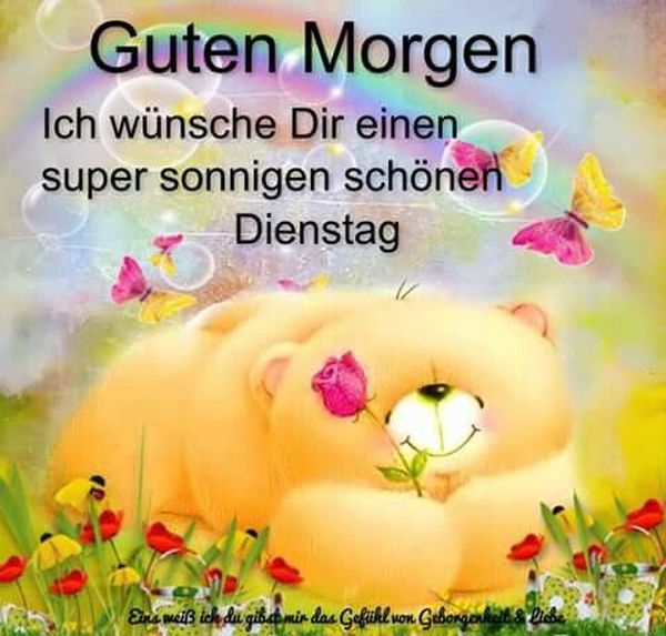 Bilder-„Sonnigen-Dienstag“-1