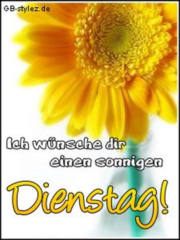 Bilder-„Sonnigen-Dienstag“-2