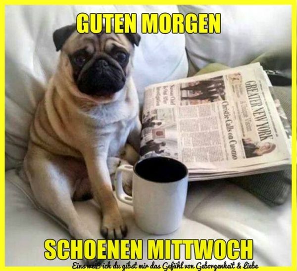 Die-besten-lustigen-Bilder-zum-Mittwoch-1