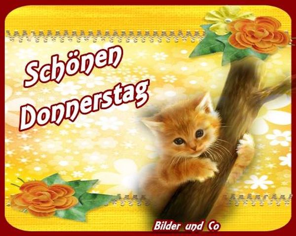 Die-besten-und-kostenlosen-Bilder-fur-Donnerstagsgru-e-1