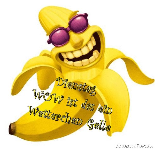 Dienstag-Gif-Bilder-3