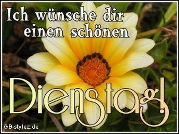 Schönen Dienstag Sprüche, Guten Dienstag Zitate