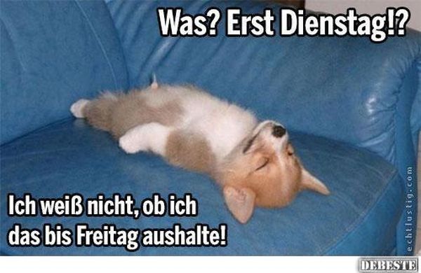 Schönen Dienstag Sprüche, Guten Dienstag Zitate