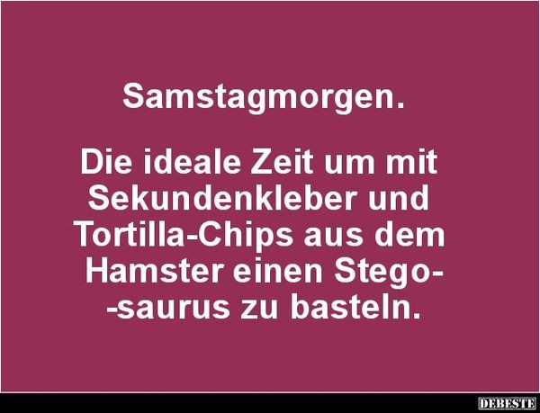Lustige-Bilder-zum-Samstagmorgen-4
