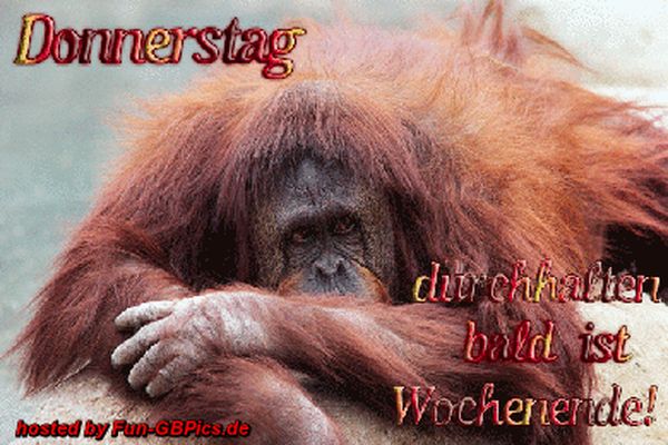 Lustige-Donnerstagsbilder-fur-WhatsApp-3