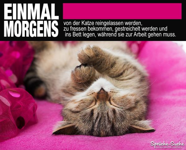 Montagsbilder-uber-Arbeit-1