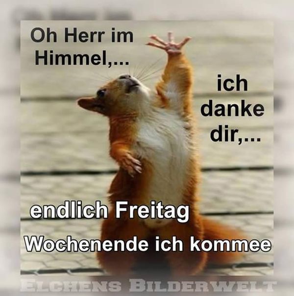 Schönen Freitag Bilder Kostenlos • Guten Freitag Bilder
