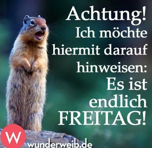 Profibilder-„Endlich-Freitag“-3