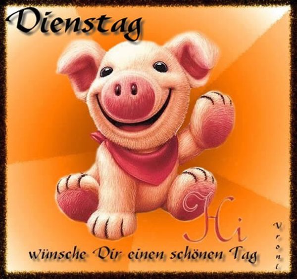 Witzige-Dienstagsbilder-3