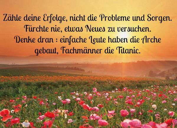 Bilder-mit-Spruchen-zum-Aufmuntern-2