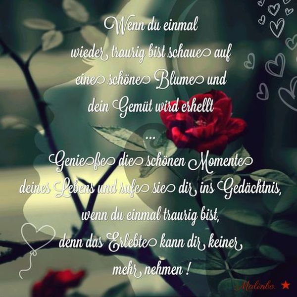 Bilder-mit-Spruchen-zum-Aufmuntern-5