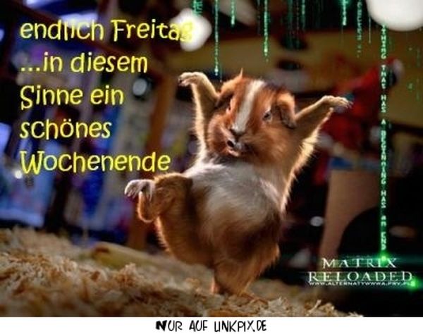 Freitag Sprüche, Guten Freitag •