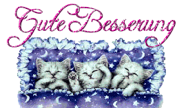 Gute Besserung fr Katze gif 4