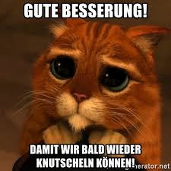Meme-für-gute-Besserung-2